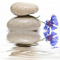 Growth Mindset and Fixed Mindset