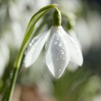 Counselling in South Manchester